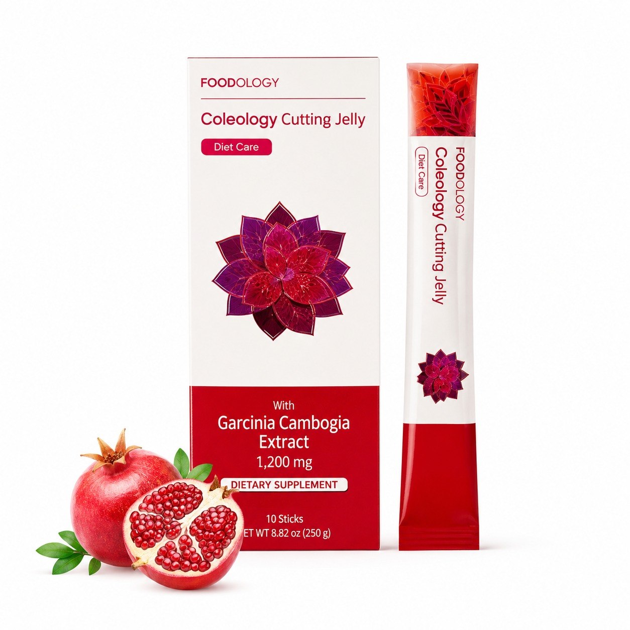 FOODOLOGY COLEOLOGY CUTTING JELLY
