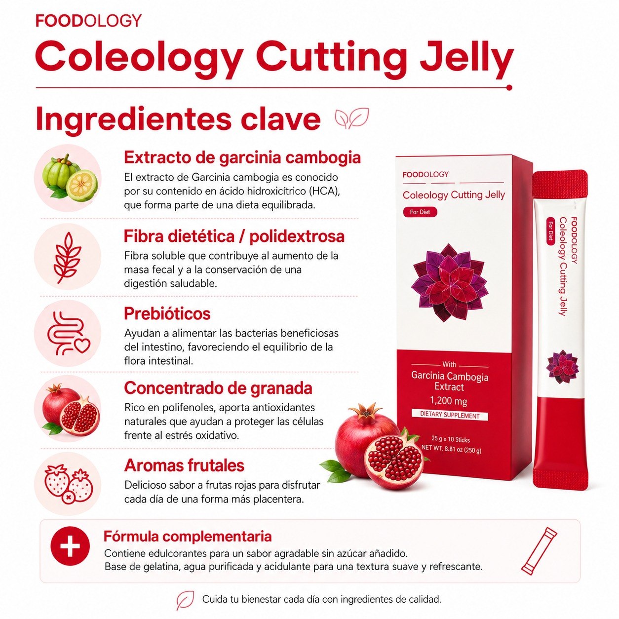 FOODOLOGY COLEOLOGY CUTTING JELLY